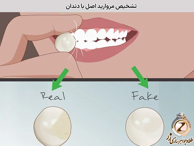 راه‌های تشخیص مروارید اصل از تقلبی - تشخیص مروارید اصل با دندان