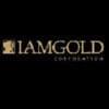 شرکت طلای یام گلد (IAMGOLD) تولیدکننده طلا در بازار سهام