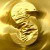 قیمت طلا همچنان بالا می‌رود 
