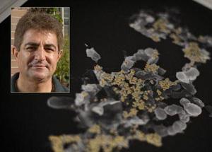 توليد طلای 24 عيار از باكتری ابرنيرومند با كيمياگری ميكروبی دانشمند ايرانی